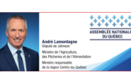 Anndré Lamontagene Assemblée Nationale Du Québec