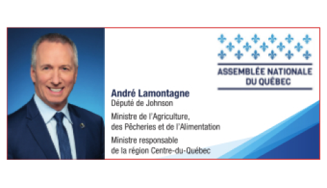 Anndré Lamontagene Assemblée Nationale Du Québec